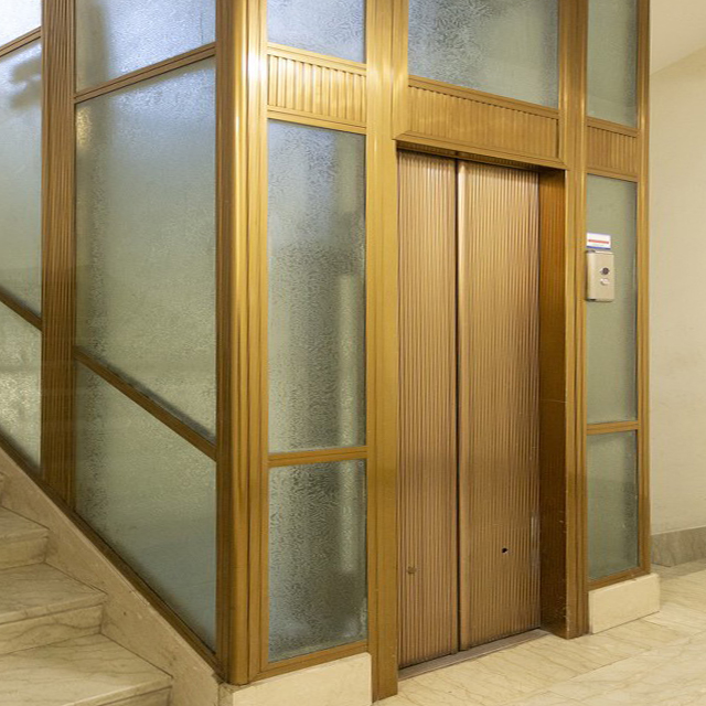 مصعد منزلي Ostar / مصعد فيلا / مصعد منزلي